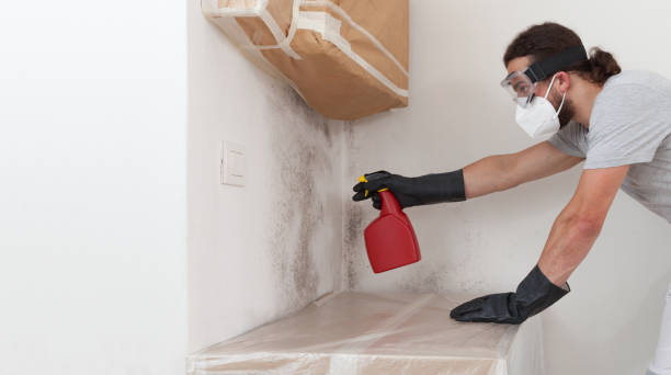 Professional Bathroom Mold Removal technician working in Wayzata, MN