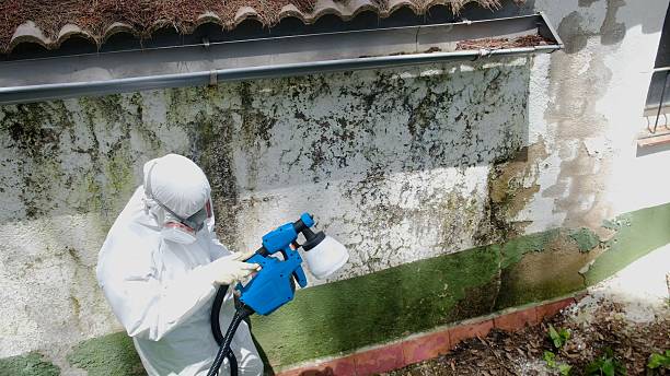 Top rated local Bathroom Mold Removal specialists in Wayzata, MN